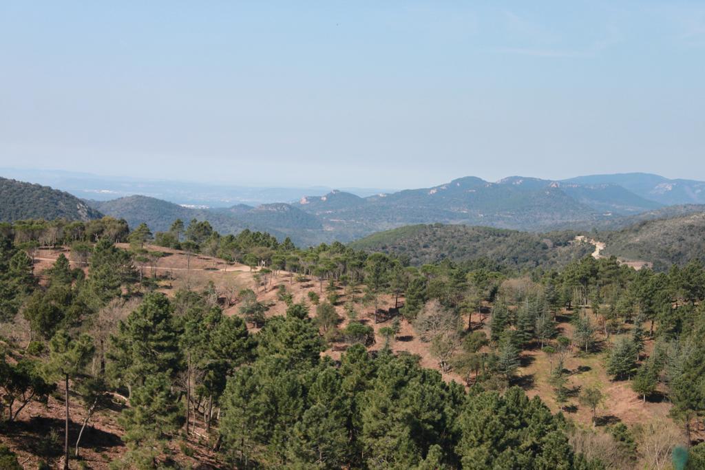 L'Estirado Des Adrets Otel Les Adrets-de-l'Esterel Dış mekan fotoğraf